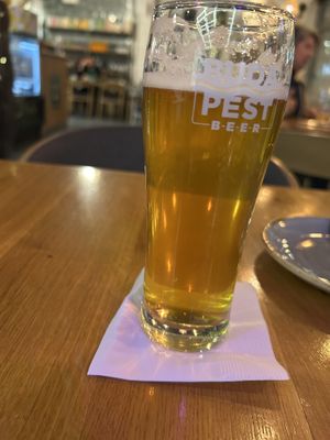 Vegan garden pils  at Vegan Garden Budapest in Budapest