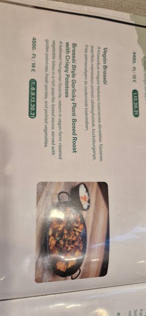 at Vegan Garden Budapest in Budapest