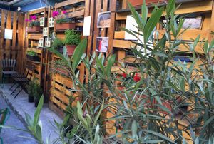 Our food yard at Vegan Garden Budapest in Budapest