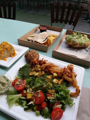 Kristofs kitchen palak paneer, Chimichanga, vegan gourmets quesadillas at Vegan Garden Budapest in Budapest