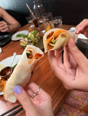 Peking duck   at Hochi Mama in Richmond