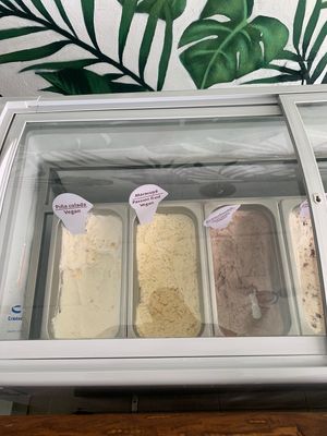 Vegan options  at Playa Helado in Playa Del Carmen