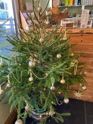  at The Green Kitchen in Northwich