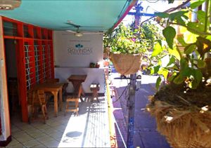 Un Placer Natural at Govinda's in Santa Marta