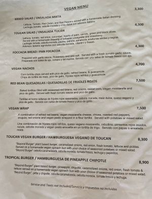 One half of the dedicated vegan menu. The other half includes four kinds of pasta, and several pizzas made with vegan cheese. at Toucan Lane Hotel and Restaurant in Nuevo Arenal