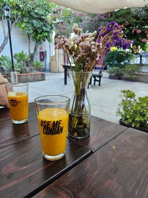  at Ripalda in Ensenada