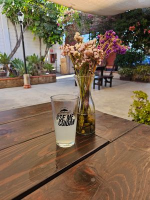  at Ripalda in Ensenada