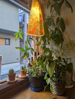  at Kiranah Spice in Kyoto