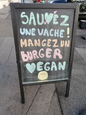 Allez y at HAILO in Marseille