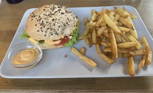   at HAILO in Marseille