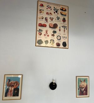   at HAILO in Marseille