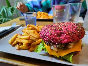  at HAILO in Marseille