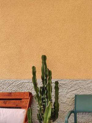  at L'ortica in Cavalese