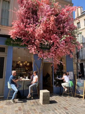   at Bulle in Paris
