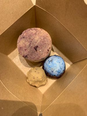   at Wild & The Moon - Ave de Champs Elysées in Paris