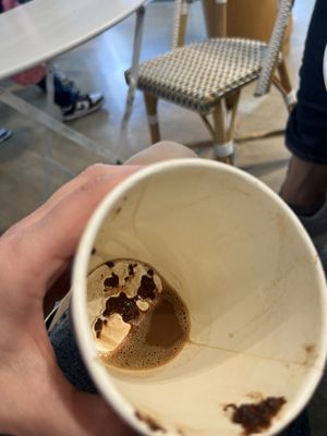   at Wild & The Moon - Ave de Champs Elysées in Paris