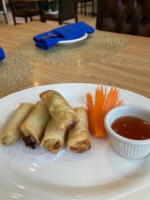 Vegan spring rolls, fried at Sand Pebbles in Aurora