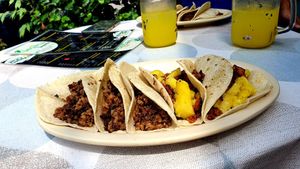  at 100% Vegana Taqueria in Puerto Vallarta