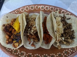  at 100% Vegana Taqueria in Puerto Vallarta