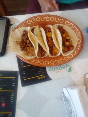 Perfection:) at 100% Vegana Taqueria in Puerto Vallarta