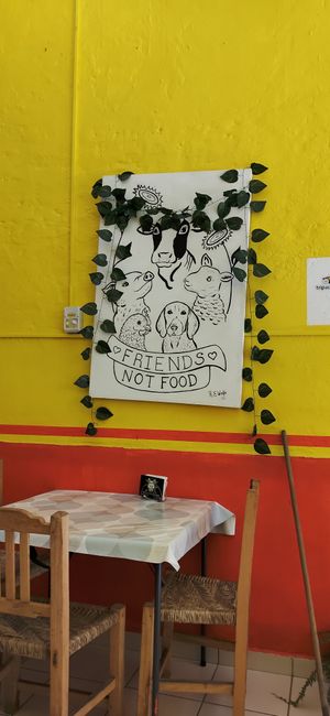  at 100% Vegana Taqueria in Puerto Vallarta