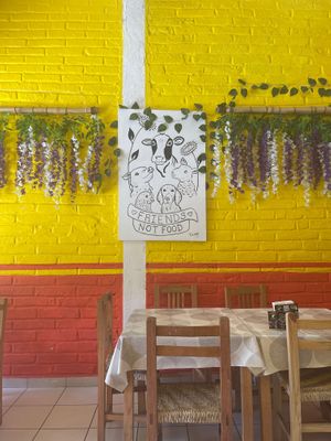 Decor at 100% Vegana Taqueria in Puerto Vallarta