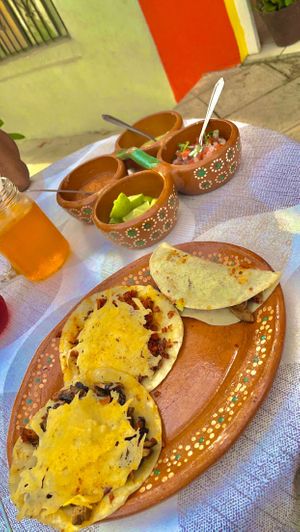 Biria Dorado, Hi Hi & Arabe   at 100% Vegana Taqueria in Puerto Vallarta