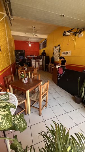Quaint and colourful interior   at 100% Vegana Taqueria in Puerto Vallarta