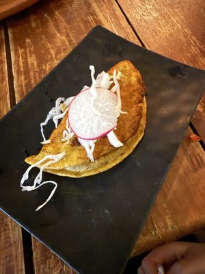 taco de birria dorado  at 100% Vegana Taqueria in Puerto Vallarta