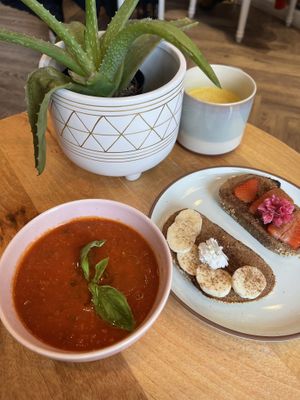 The toast was tiny, but my friend ensured me it was perfect because she wasn’t hungry. She enjoyed her golden milk latte as well.  at Elixir De La Lune in La Jolla