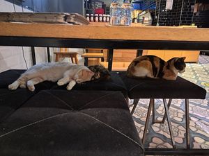  at Pizza Locale in Antalya