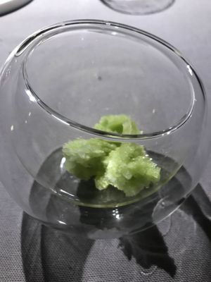 Lichene  at INDINIÒ in Raveo