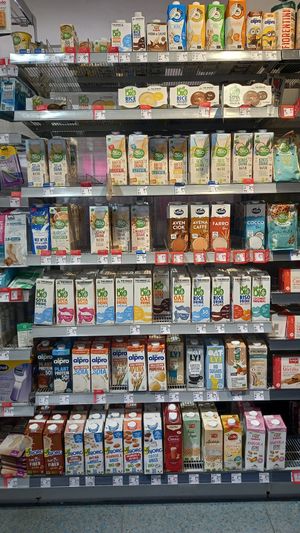 plant milks at DM Drogerie Markt in Venice