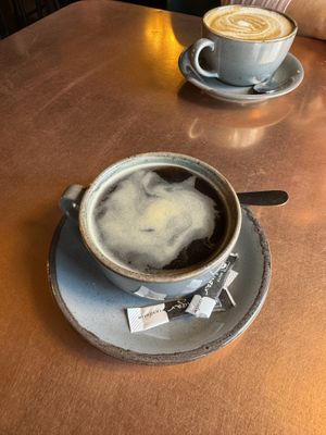   at The Owl in Hartlepool