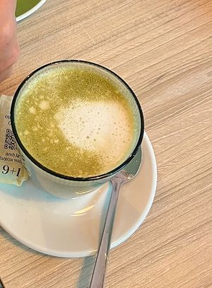   at ECO DEL MAR in Blanes