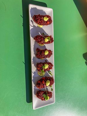   at ECO DEL MAR in Blanes