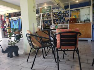  at Varuna Plant-Based Food & Juice Bar in Manuel Antonio