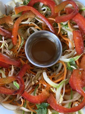 pad thai  at Varuna Plant-Based Food & Juice Bar in Manuel Antonio