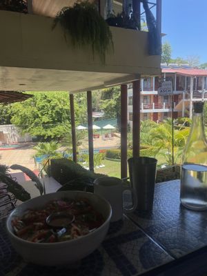 Garden view  at Varuna Plant-Based Food & Juice Bar in Manuel Antonio