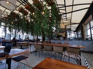 Naturally light and planty at Peppertree in Nairobi