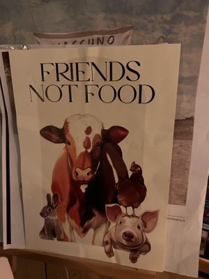   at Raparossa  in Pezze Di Greco