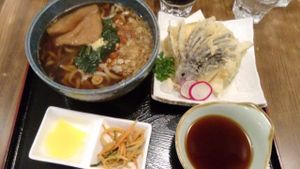 Hot tem udon at Herbivore Japanese Vegetarian Restaurant in Central Singapore