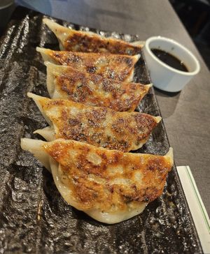 Yaki Gyoza ~ 28/1/24 at Herbivore Japanese Vegetarian Restaurant in Central Singapore
