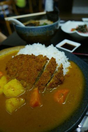 Vegan Katsudon at Herbivore Japanese Vegetarian Restaurant in Central Singapore