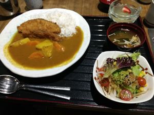 Fish curry at Herbivore Japanese Vegetarian Restaurant in Central Singapore
