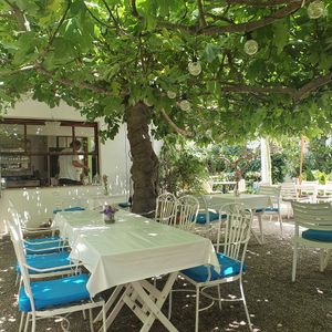  at Bellaverde in Mallorca