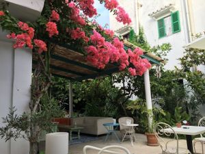 Under the fig trees at Bellaverde in Mallorca
