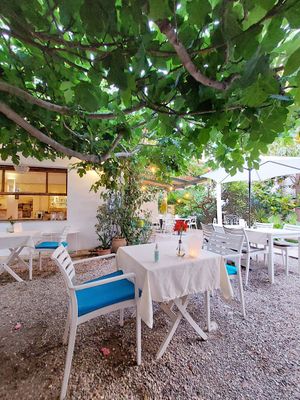 Garden at Bellaverde in Mallorca