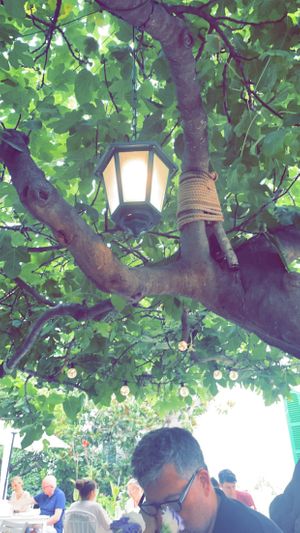   at Bellaverde in Mallorca