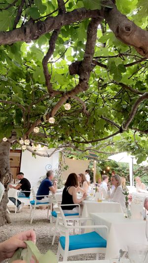   at Bellaverde in Mallorca